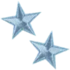 🌟