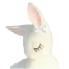 🐰