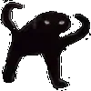 😾