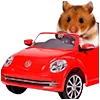 🚗