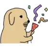 🎉