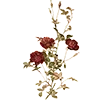 🥀