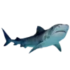 🦈