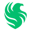 🇸🇦