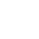 🐂