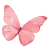 🦋