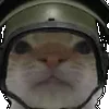 😾
