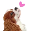 💕