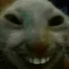 😆