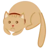 🐈