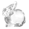 ⭐️