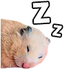 😴