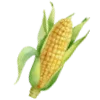 🌽