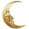 🌙