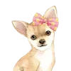 🎀