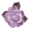 💜