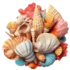 🐚