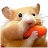🥕