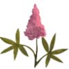 🪻