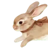 🐇