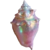 🐚