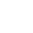 🐧