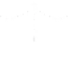 ⭐️