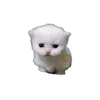🐈