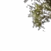 ⭐️