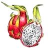 🥭