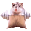 💪