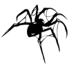 🕷