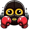 🥊