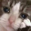 😥