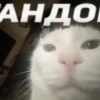 🗿