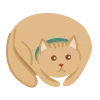 🐈