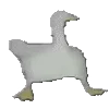 🦤