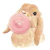 🐰