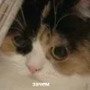 ❓