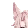 😺