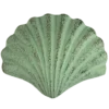🐚