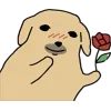 🌹