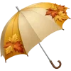 ☂️