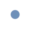 🔵