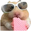 🐹