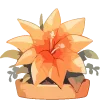 🪴