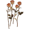 🌸