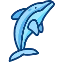 🐬
