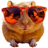 😎