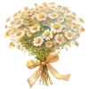 🌼